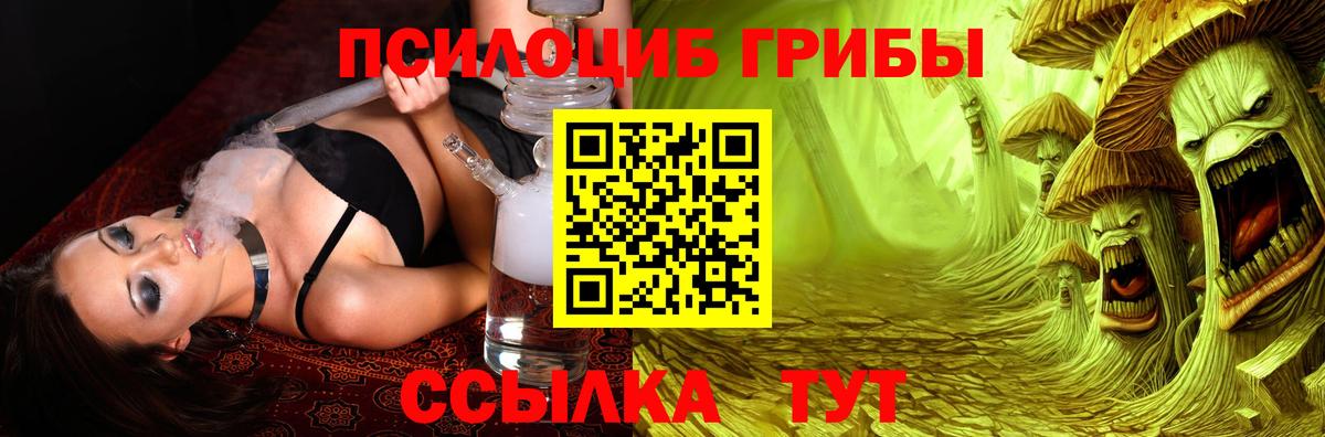 Александров  Галлюциногенные грибы прущие грибы  Вход с VPN 